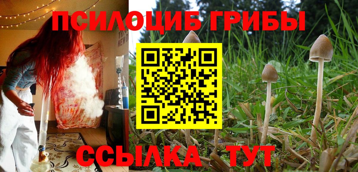 Псилоцибиновые грибы GOLDEN TEACHER Истра